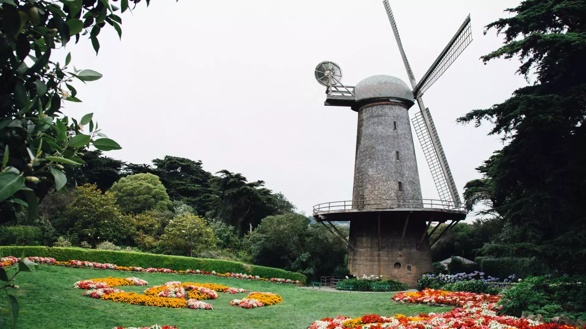 Moulin à vent hollandais 金门公园
