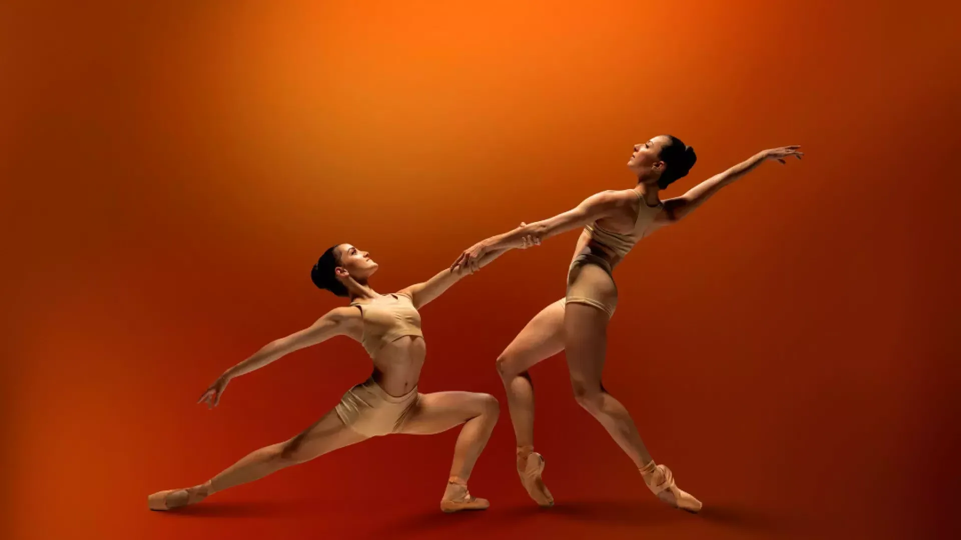 贝博体彩app芭蕾舞演员在红色背景上握着手 