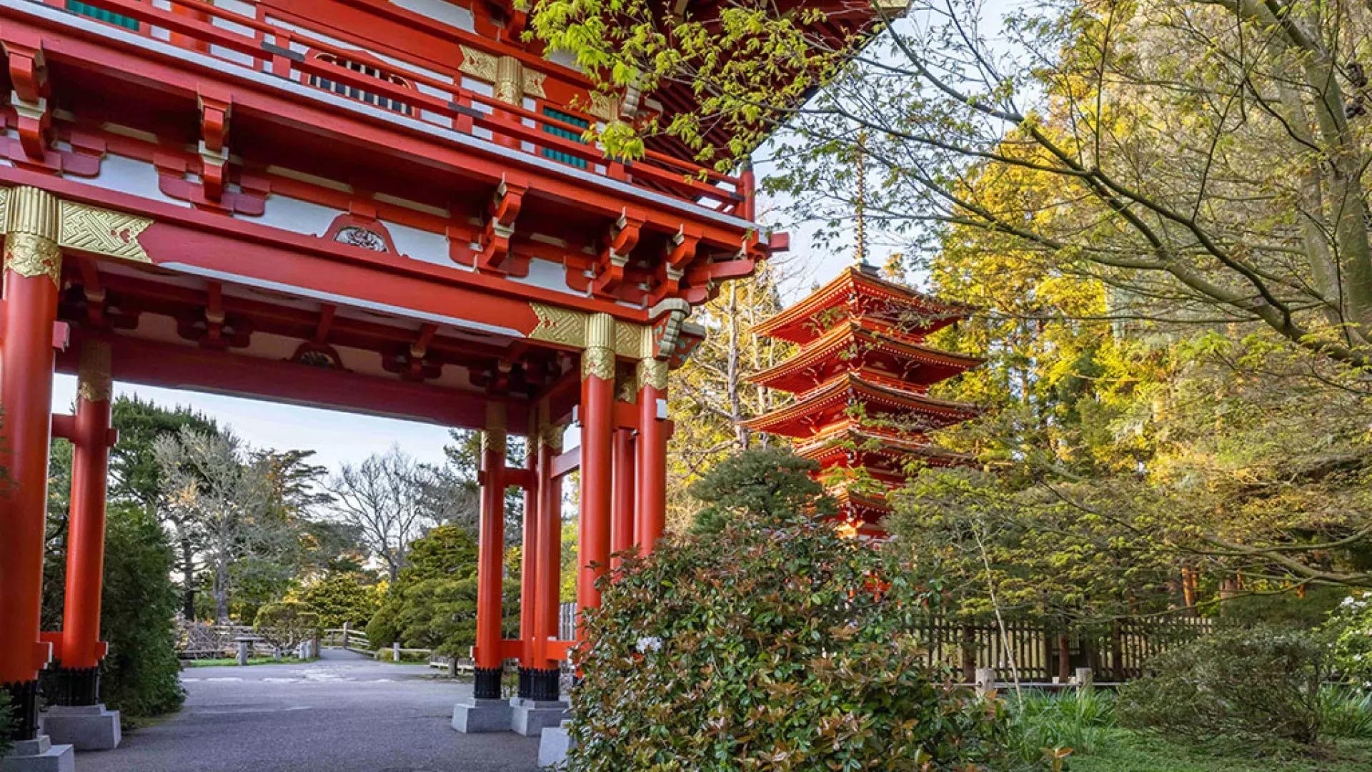 日本茶园寺庙