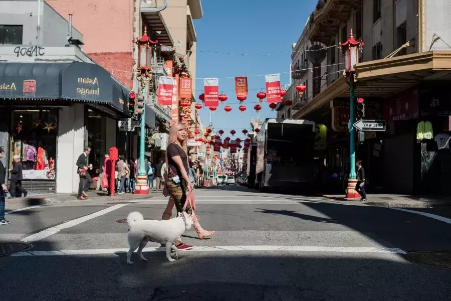 cormack十字架和她的狗在唐人街散步.
