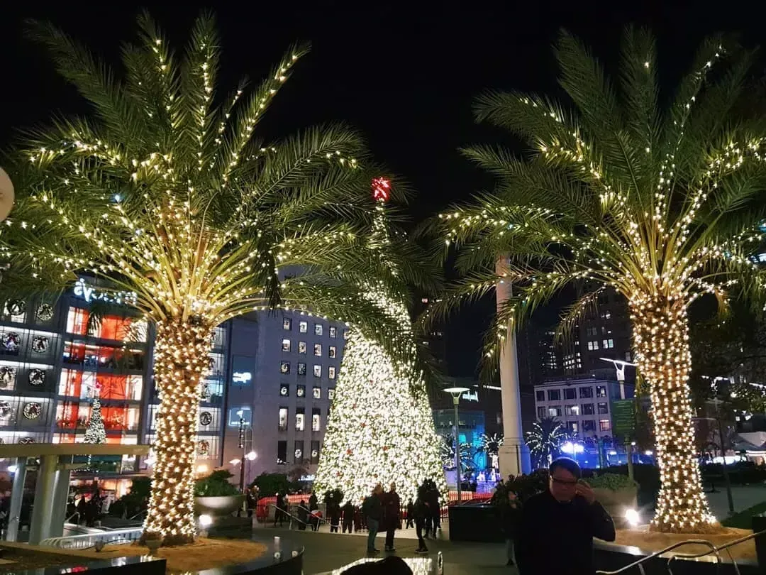 Union-Square-Weihnachtsbäume