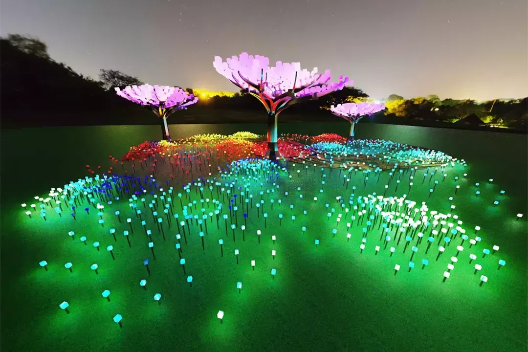 Large-scale flowers glow in multicolor lights at Entwined, anilluminate SF exhibit.