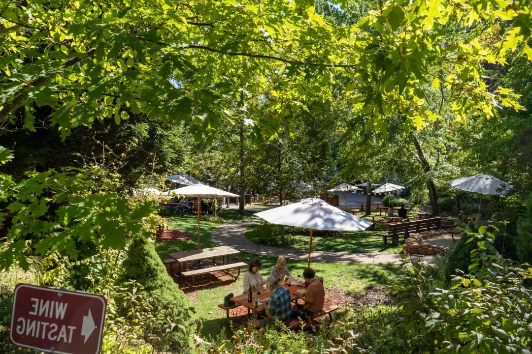 豪华的绿色野餐区，有一群人坐在桌子旁品酒。